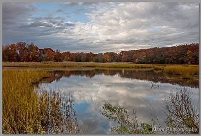 image by Kirms Photography Shark River Hills Foliage-01